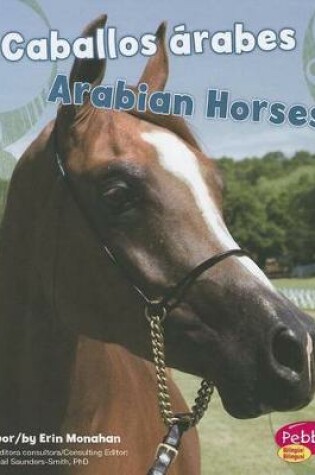 Cover of Caballos �rabes/Arabian Horses