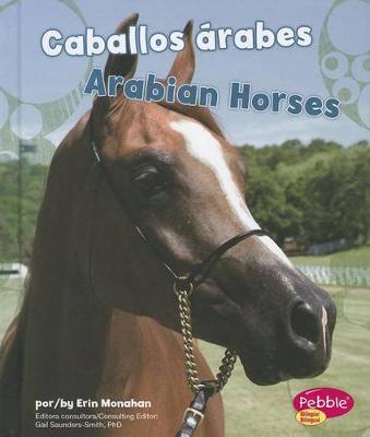 Cover of Caballos �rabes/Arabian Horses