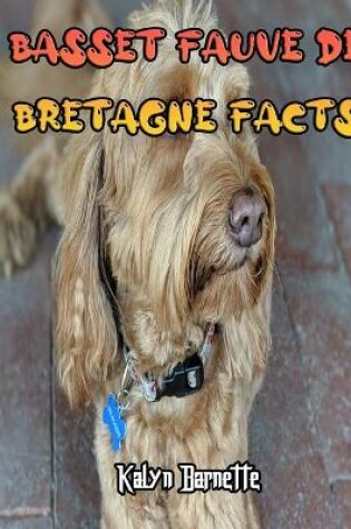 Cover of Basset Fauve de Bretagne Facts