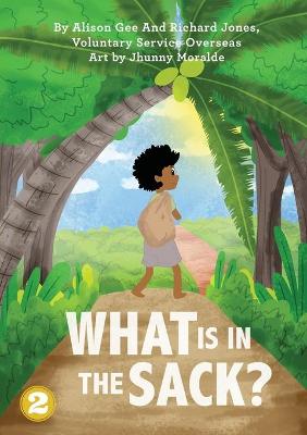 Book cover for What Is In The Sack?