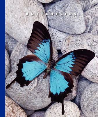 Cover of Butterflies