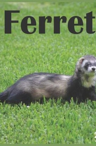 Cover of 2021 Ferret