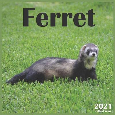 Book cover for 2021 Ferret