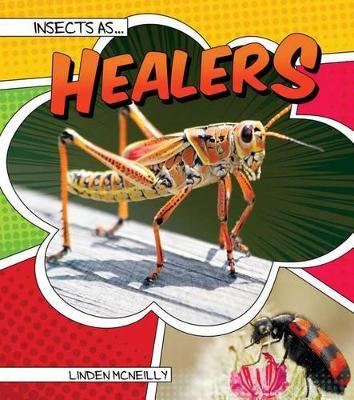 Book cover for Insects as Healers