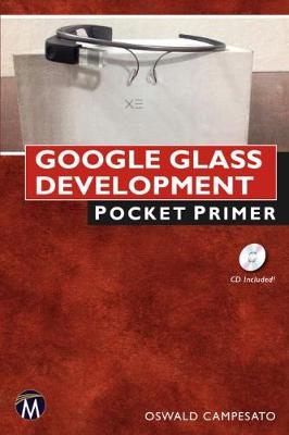 Book cover for Google Glass Development