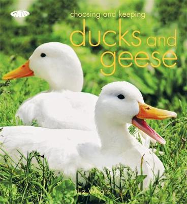 Book cover for Choosing and Keeping Ducks and Geese