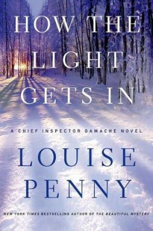 Cover of How the Light Gets in