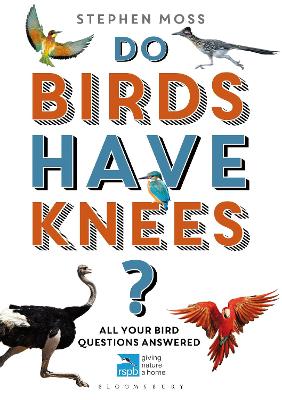 Book cover for Do Birds Have Knees?