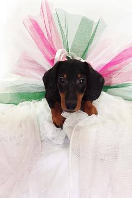 Book cover for Chilly Dachshund Wearing a Purple Hat and Scarf Journal