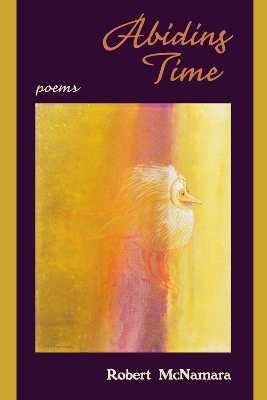 Book cover for Abiding Time