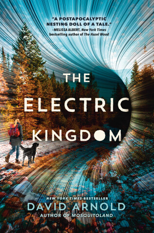 Book cover for The Electric Kingdom