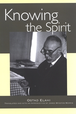 Book cover for Knowing the Spirit