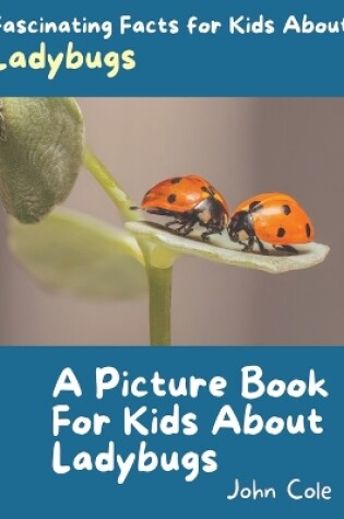 Cover of A Picture Book for Kids About Ladybugs