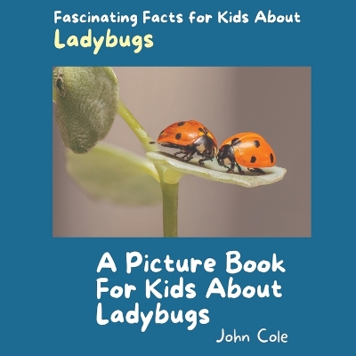 Book cover for A Picture Book for Kids About Ladybugs