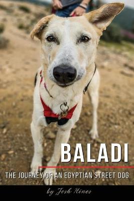 Cover of Baladi