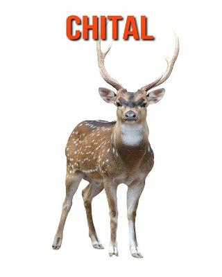 Book cover for Chital