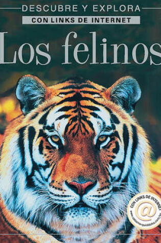 Cover of Los Felinos - Internet Linked
