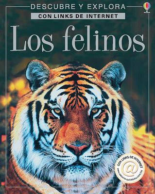 Cover of Los Felinos - Internet Linked