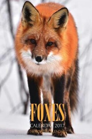 Cover of Foxes Pocket Monthly Planner 2017