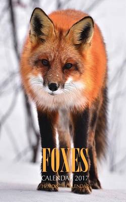 Book cover for Foxes Pocket Monthly Planner 2017