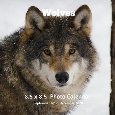 Book cover for Wolves 8.5 X 8.5 Calendar September 2019 -December 2020