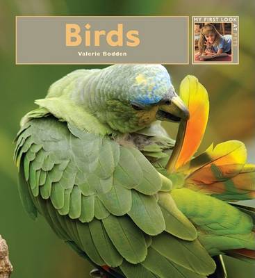 Cover of Birds