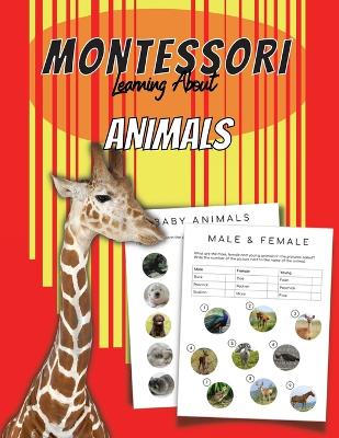 Book cover for Montessori Learn About Animals