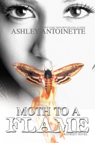 Cover of Moth To A Flame