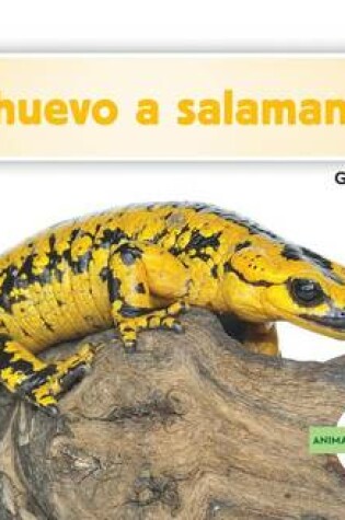 Cover of de Huevo a Salamandra (Becoming a Salamander )