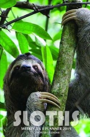 Cover of Sloths Weekly 5 X 8 Planner 2019
