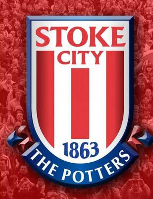 Book cover for Stoke City Football Club Diary