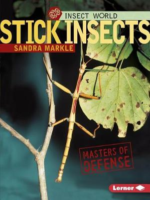Book cover for Stick Insects