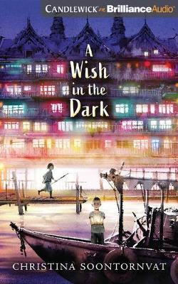 Book cover for A Wish in the Dark