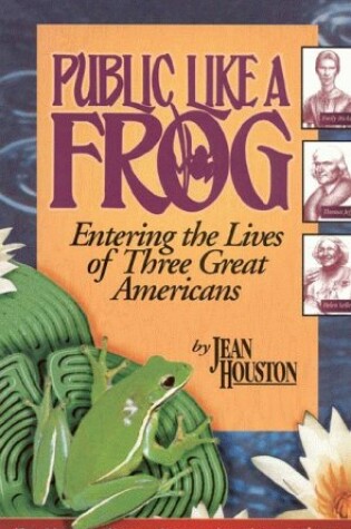 Cover of Public Like a Frog