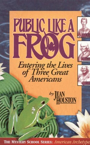 Book cover for Public Like a Frog