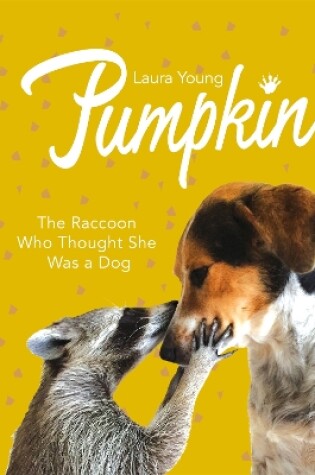 Cover of Pumpkin: The Raccoon Who Thought She Was a Dog