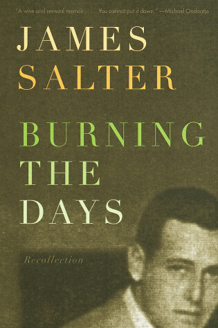 Cover of Burning the Days