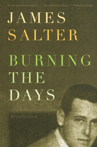 Book cover for Burning the Days