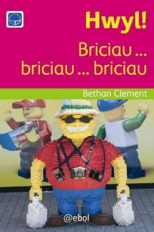 Cover of Cyfres Darllen Difyr: Hwyl! - Briciau ... briciau ... briciau