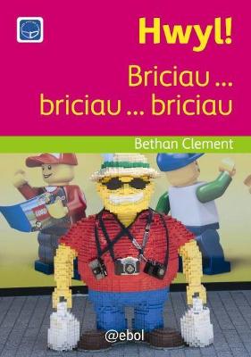 Book cover for Cyfres Darllen Difyr: Hwyl! - Briciau ... briciau ... briciau