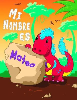 Book cover for Mi Nombre es Mateo