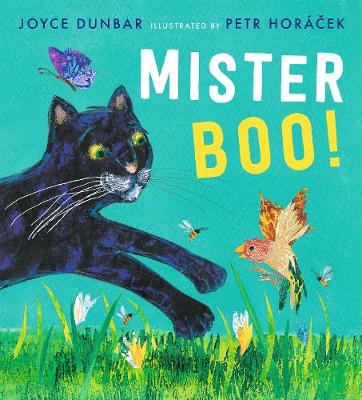 Book cover for Mister Boo!