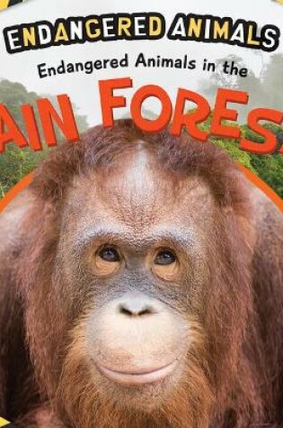 Cover of Endangered Animals in the Rain Forests