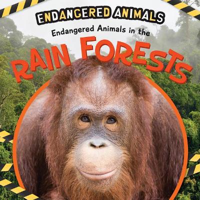 Book cover for Endangered Animals in the Rain Forests