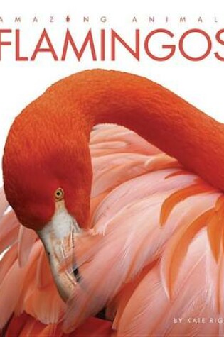 Cover of Amazing Animals Flamingos