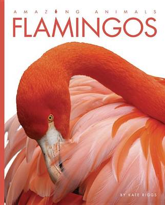 Book cover for Amazing Animals Flamingos