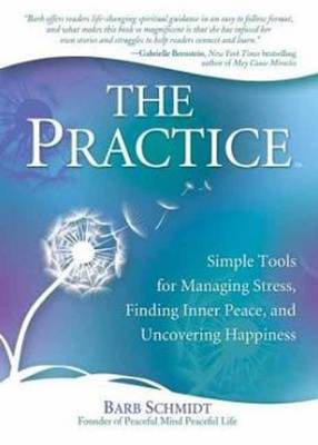 Book cover for The Practice