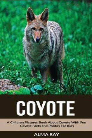 Cover of Coyote