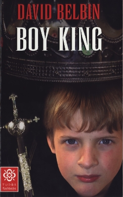 Book cover for Boy King