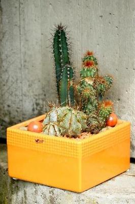 Book cover for Succulents in a Yellow Planter Journal